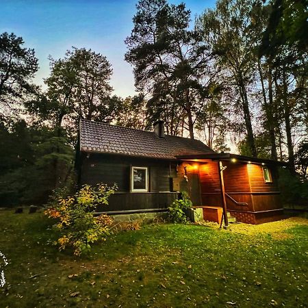 Ranczo Wilkowyja Villa Wilkowyja  Exterior foto
