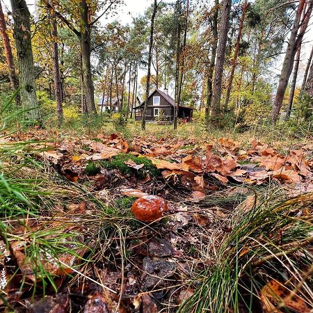 Ranczo Wilkowyja Villa Wilkowyja  Exterior foto
