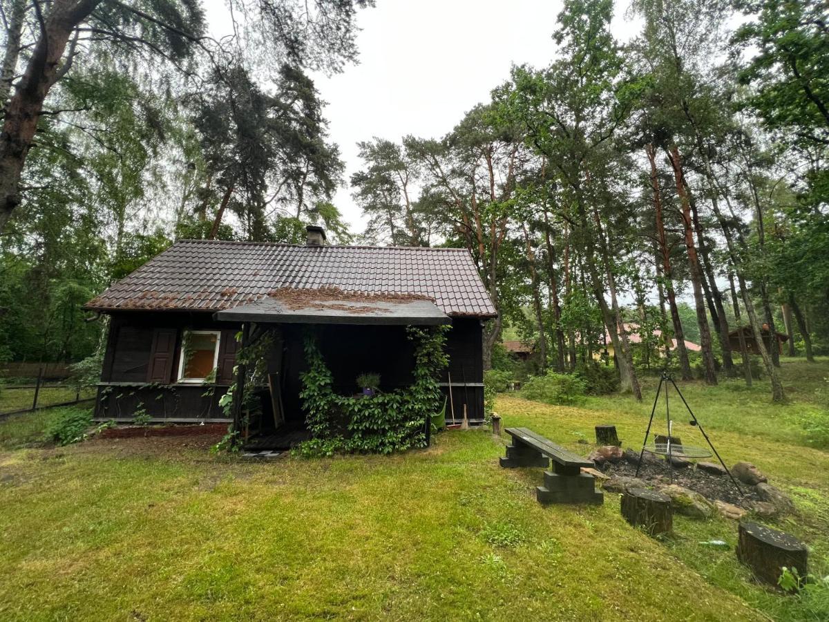 Ranczo Wilkowyja Villa Wilkowyja  Exterior foto